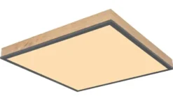 Globo Lighting Deckenleuchte