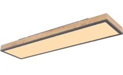 Globo Lighting Deckenleuchte