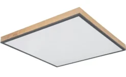 Globo Lighting Deckenleuchte