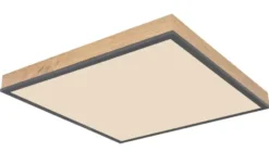 Globo Lighting Deckenleuchte