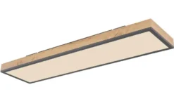 Globo Lighting Deckenleuchte