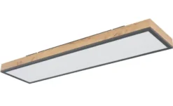 Globo Lighting Deckenleuchte
