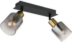 Globo Lighting Deckenstrahler