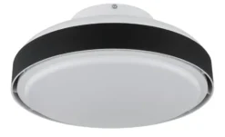 Globo Lighting Deckenventilator