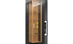 Hängevitrine