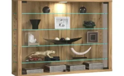 Hängevitrine