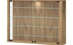 Hängevitrine