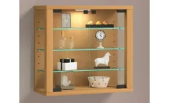 Hängevitrine