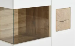 Hängevitrine Fun Plus