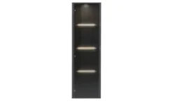 Hängevitrine Light Line 10