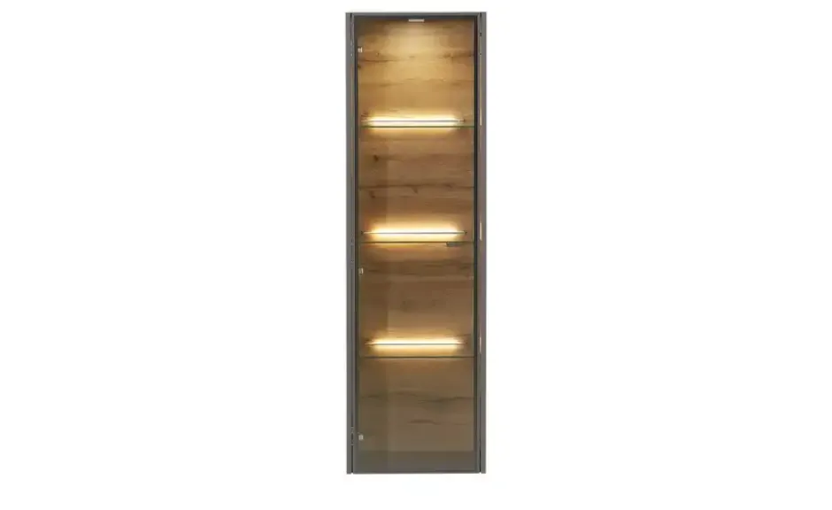 Hängevitrine Light Line 10