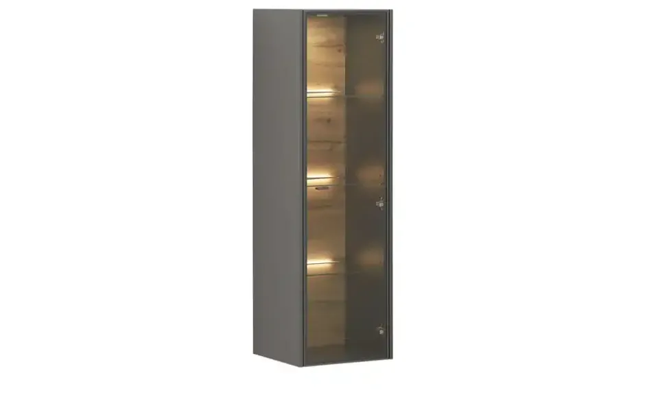 Hängevitrine Light Line 10