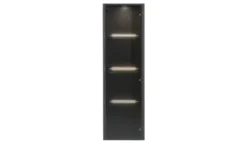 Hängevitrine Light Line 10