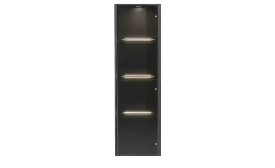 Hängevitrine Light Line 10