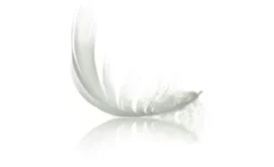IRISETTE Steppbett Ultra Leicht