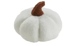 Kissen Kürbis