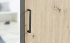 Kleiderschrank 3-türig Caterton
