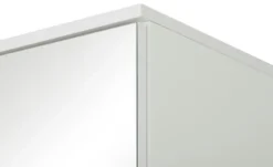 Mehrzweckhochschrank Savona