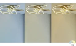 Meisterleuchten LED-Deckenleuchte