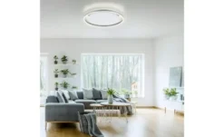 Paul Neuhaus LED Deckenleuchte