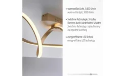 Paul Neuhaus LED Deckenleuchte