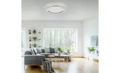 Paul Neuhaus LED Deckenleuchte