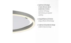 Paul Neuhaus LED Deckenleuchte