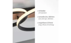 Paul Neuhaus LED Deckenleuchte