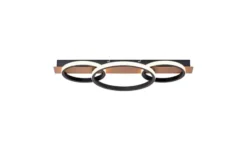 Paul Neuhaus LED Deckenleuchte