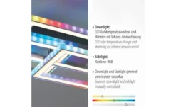 Paul Neuhaus LED Deckenleuchte