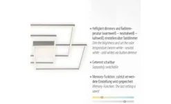 Paul Neuhaus LED Deckenleuchte