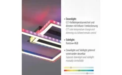 Paul Neuhaus LED Deckenleuchte