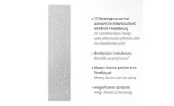 Paul Neuhaus LED Deckenleuchte