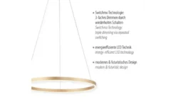 Paul Neuhaus LED Pendelleuchte
