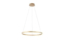 Paul Neuhaus LED Pendelleuchte