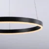Paul Neuhaus LED Pendelleuchte