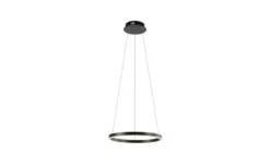 Paul Neuhaus LED Pendelleuchte