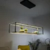 Paul Neuhaus LED Pendelleuchte
