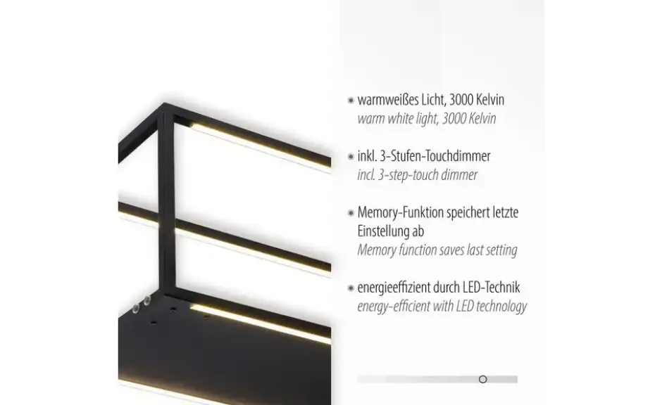 Paul Neuhaus LED Pendelleuchte