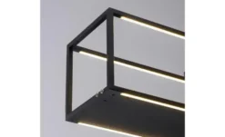 Paul Neuhaus LED Pendelleuchte