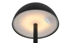 Reality Leuchten LED-Akkuleuchte
