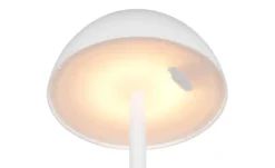 Reality Leuchten LED-Akkuleuchte