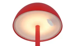 Reality Leuchten LED-Akkuleuchte