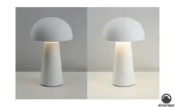 Reality Leuchten LED Tischleuchte, 1-flammig
