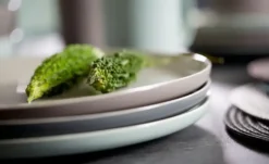 Ritzenhoff & Breker Tafelservice, 8-teilig Jasper