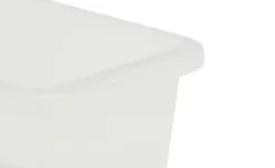 Rotho Aufbewahrungsbox
