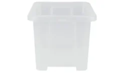 Rotho Aufbewahrungsbox