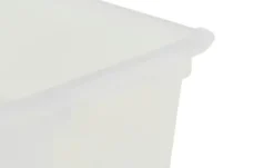Rotho Aufbewahrungsbox