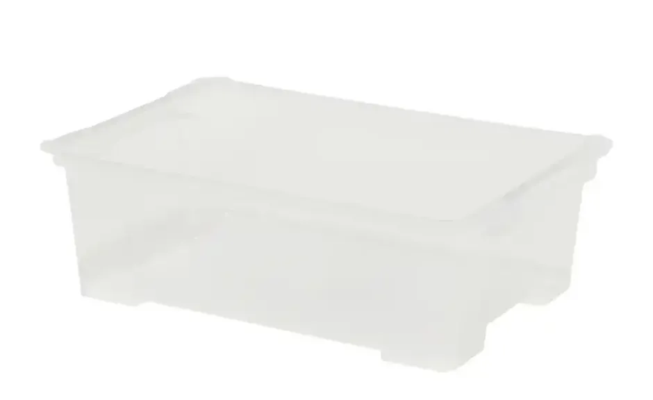 Rotho Aufbewahrungsbox