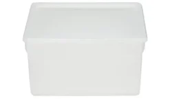 Rotho Aufbewahrungsbox, 2er Set